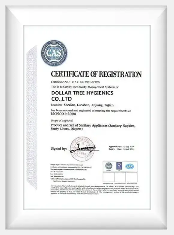 certificate 1