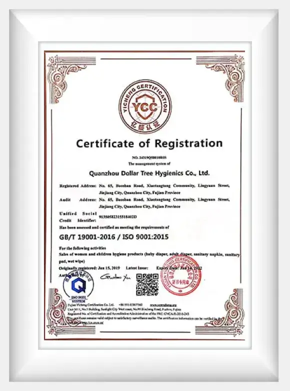 certificate 5
