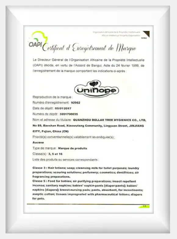 certificate 7